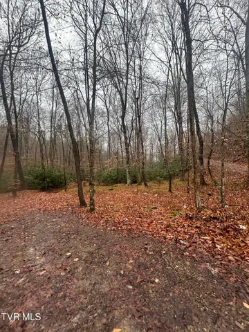 $850,000 | 0 Briar Fork Road, Bean Station, TN 37708