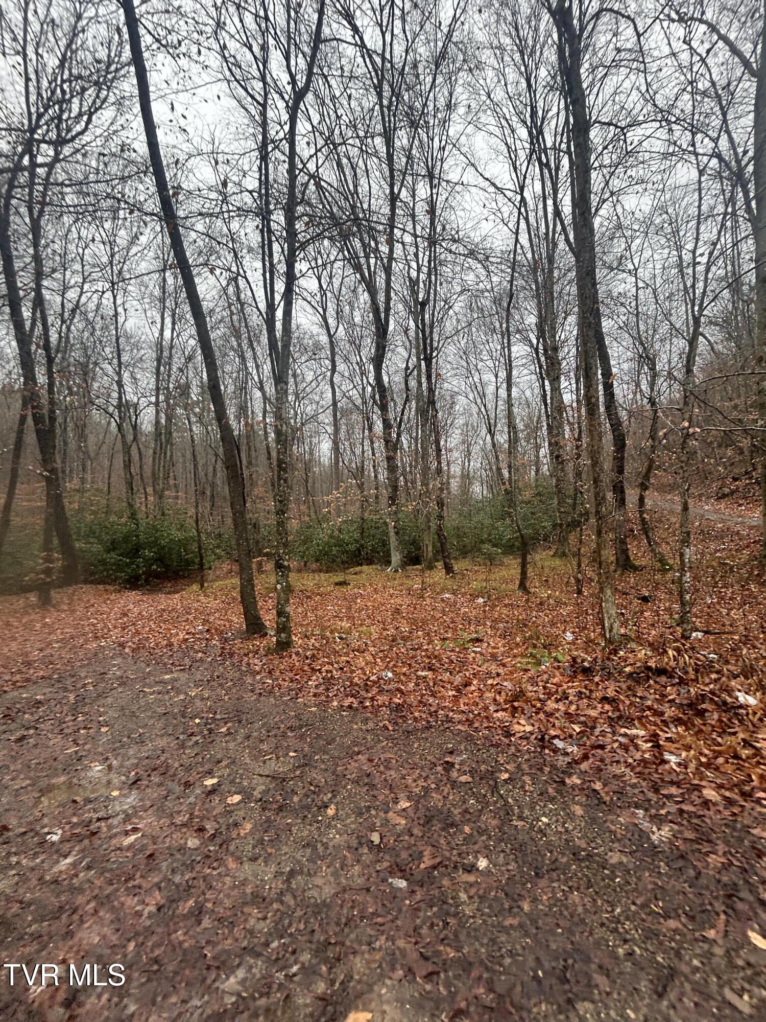 0 Briar Fork Road Bean Station, TN 37708 - Photo 10 of 30 IMG_8586