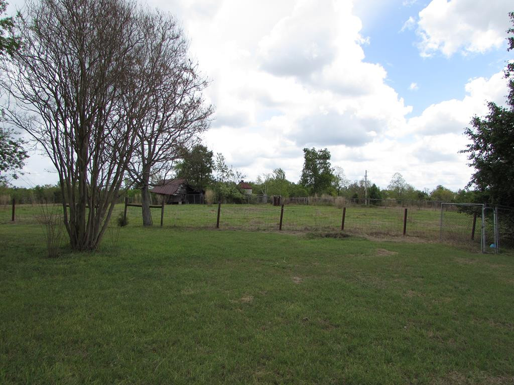 1617 Keys Pond Road Ridge Spring, SC 29129 - Photo 18 of 22