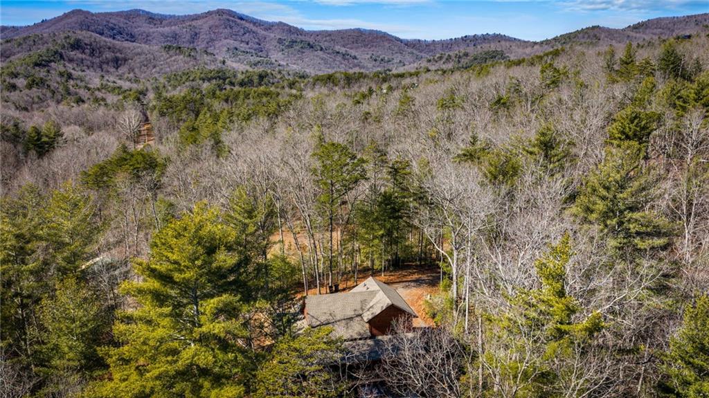 155 Peppermint Lane Epworth, GA 30541 - Photo 4 of 61 a view of a forest with mountains in the background