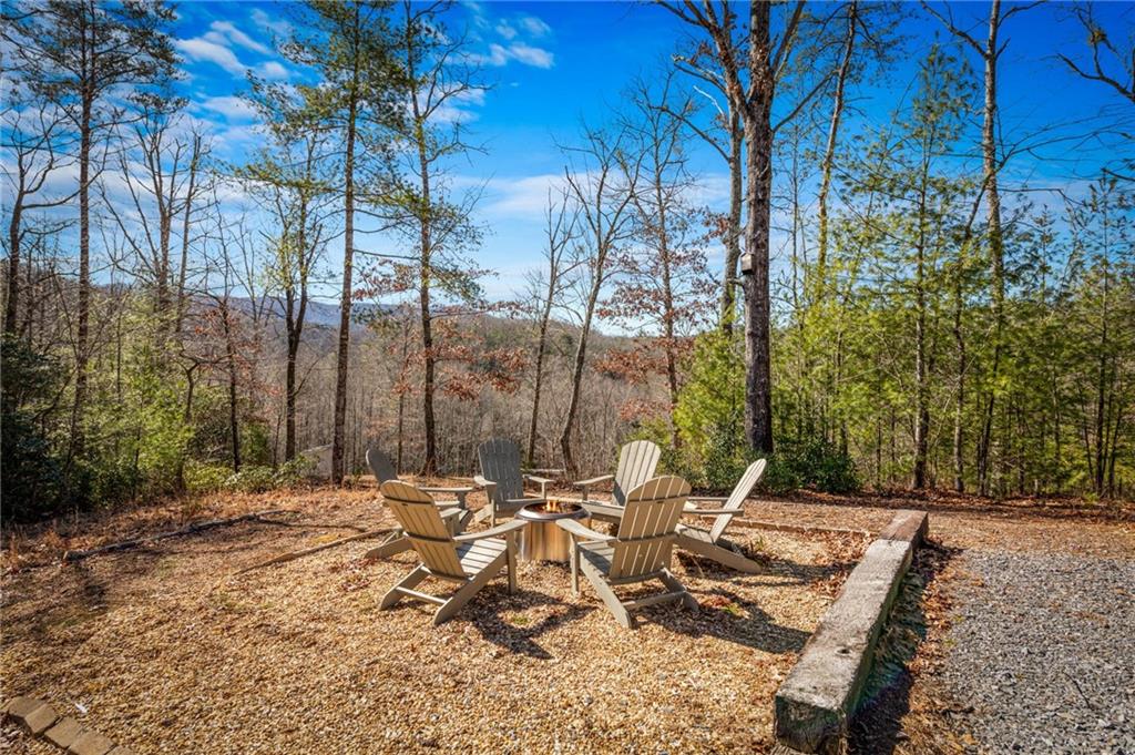 155 Peppermint Lane Epworth, GA 30541 - Photo 52 of 61