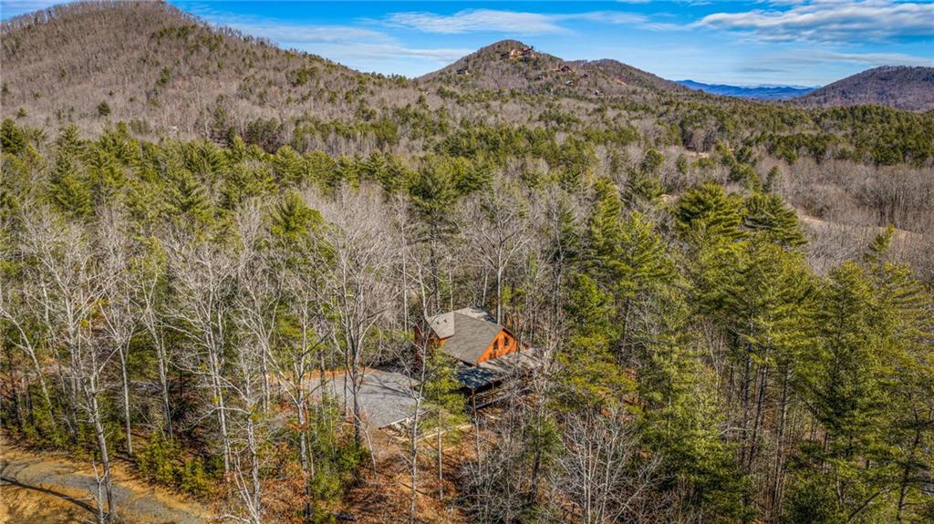 155 Peppermint Lane Epworth, GA 30541 - Photo 60 of 61 a view of a mountain with a yard
