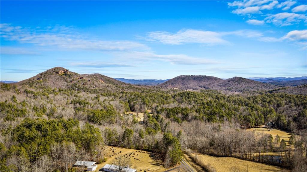 155 Peppermint Lane Epworth, GA 30541 - Photo 61 of 61 a view of mountains and valleys