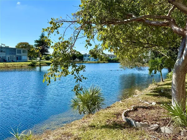 a view of a lake with a tree
