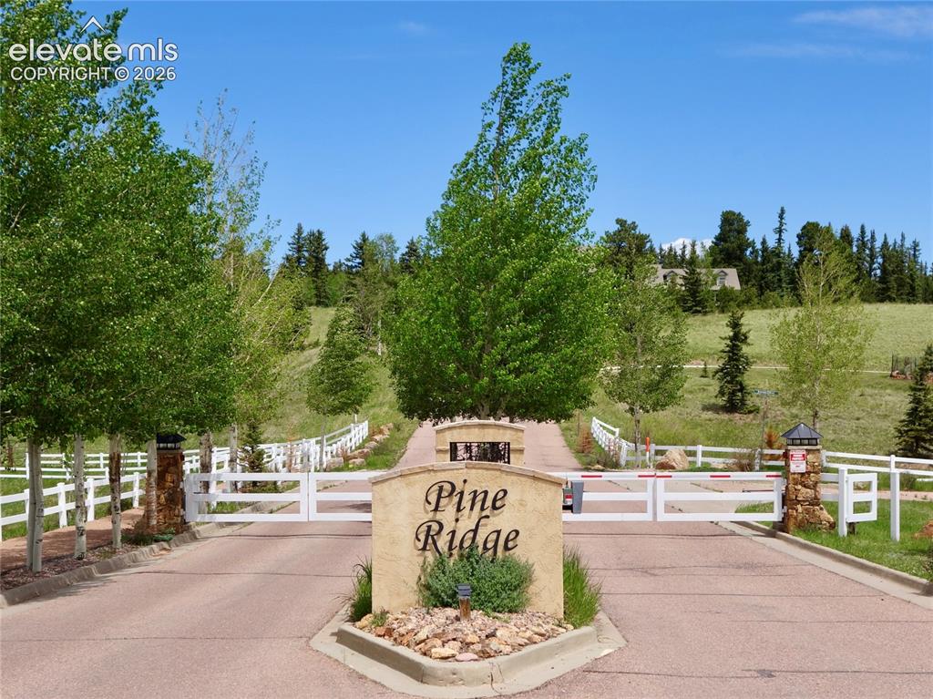 307 Pinaceae Heights Divide, CO 80814 - Photo 8 of 9