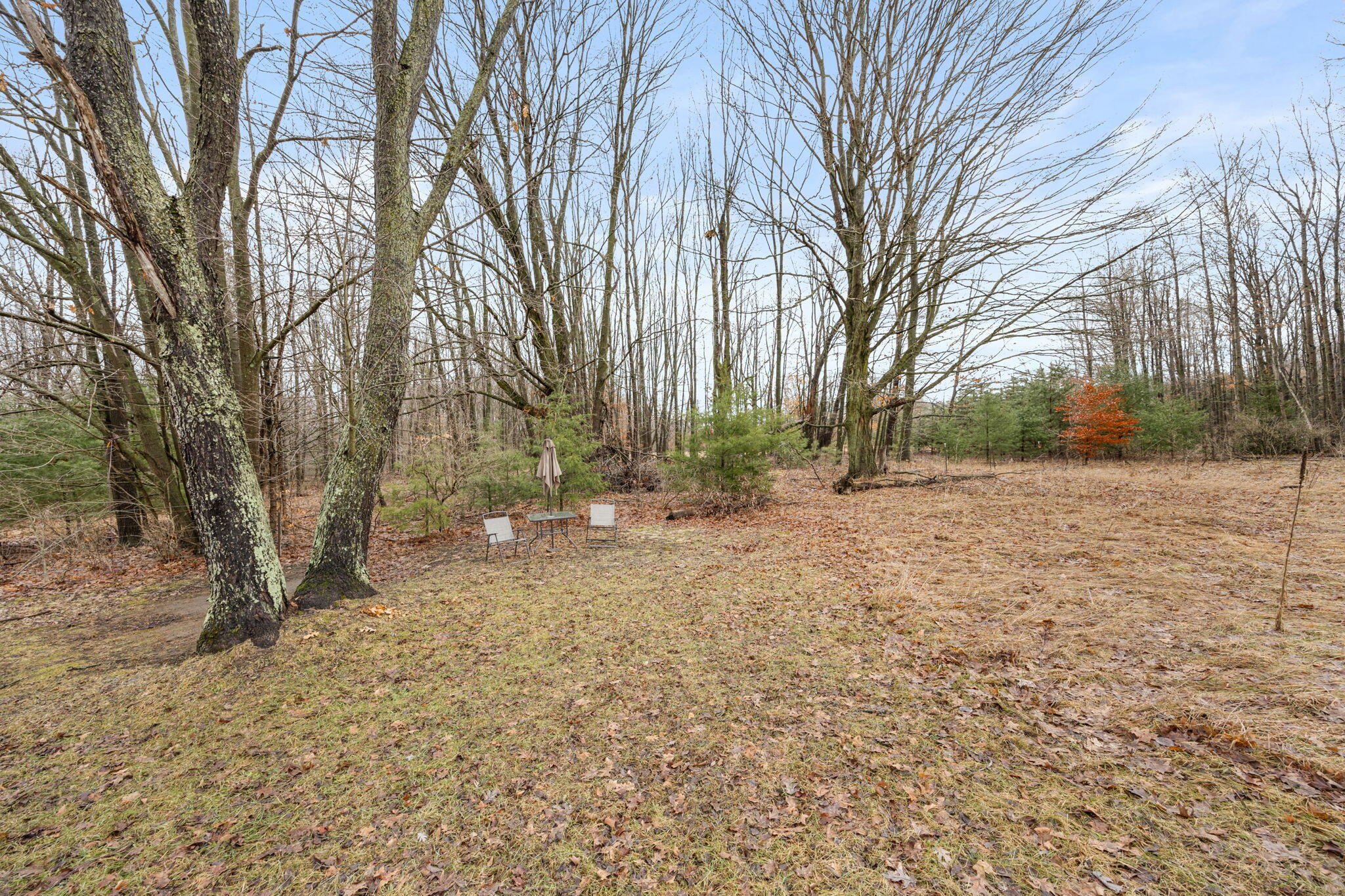 9433 8 Mile Road Mecosta, MI 49332 - Photo 13 of 54 13-web-or-mls-3Y2A3517