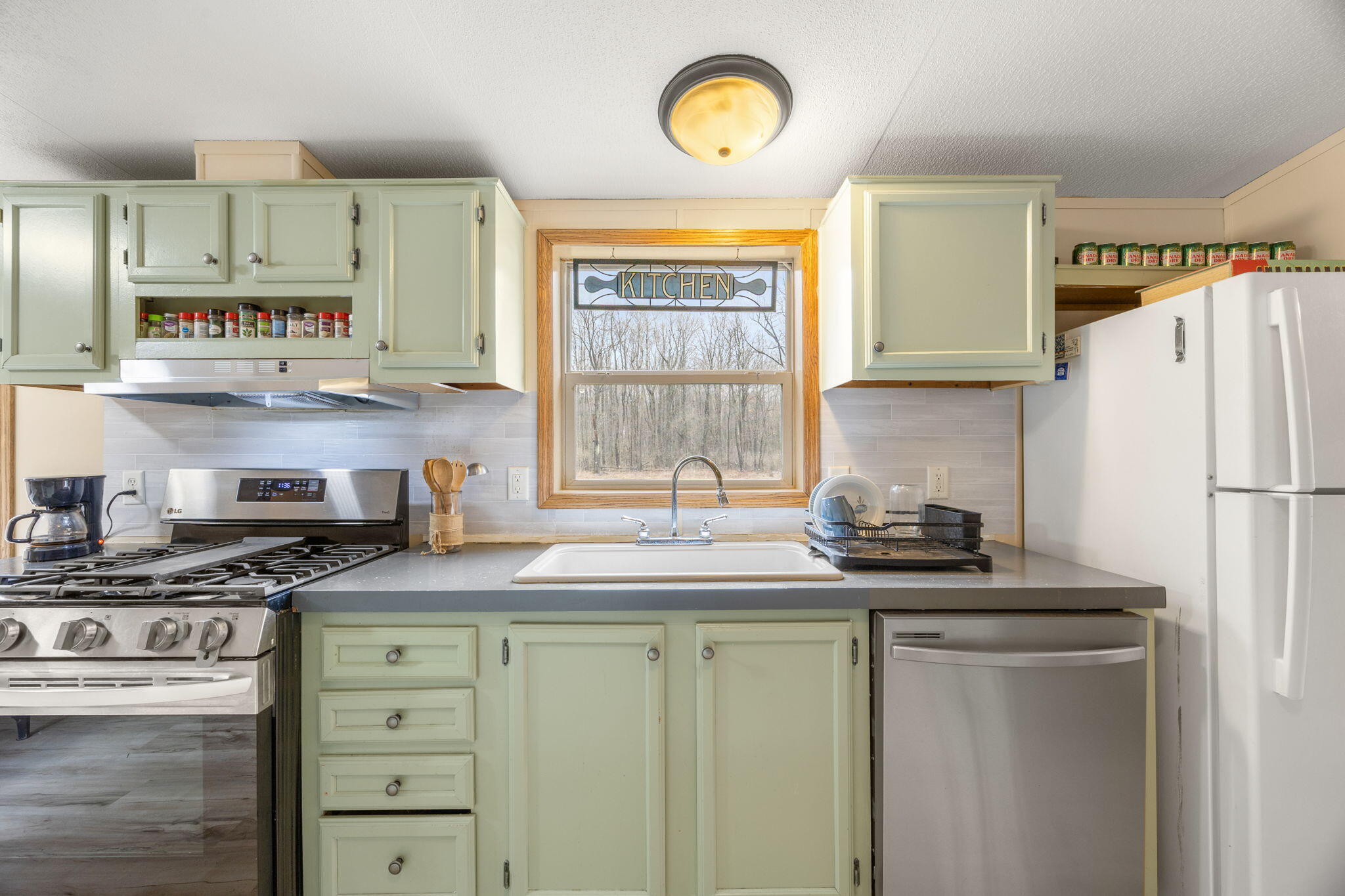 9433 8 Mile Road Mecosta, MI 49332 - Photo 27 of 54 27-web-or-mls-3Y2A3581