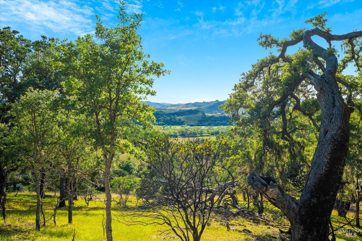 27650 River Road Cloverdale, CA 95425 - Photo 45 of 58