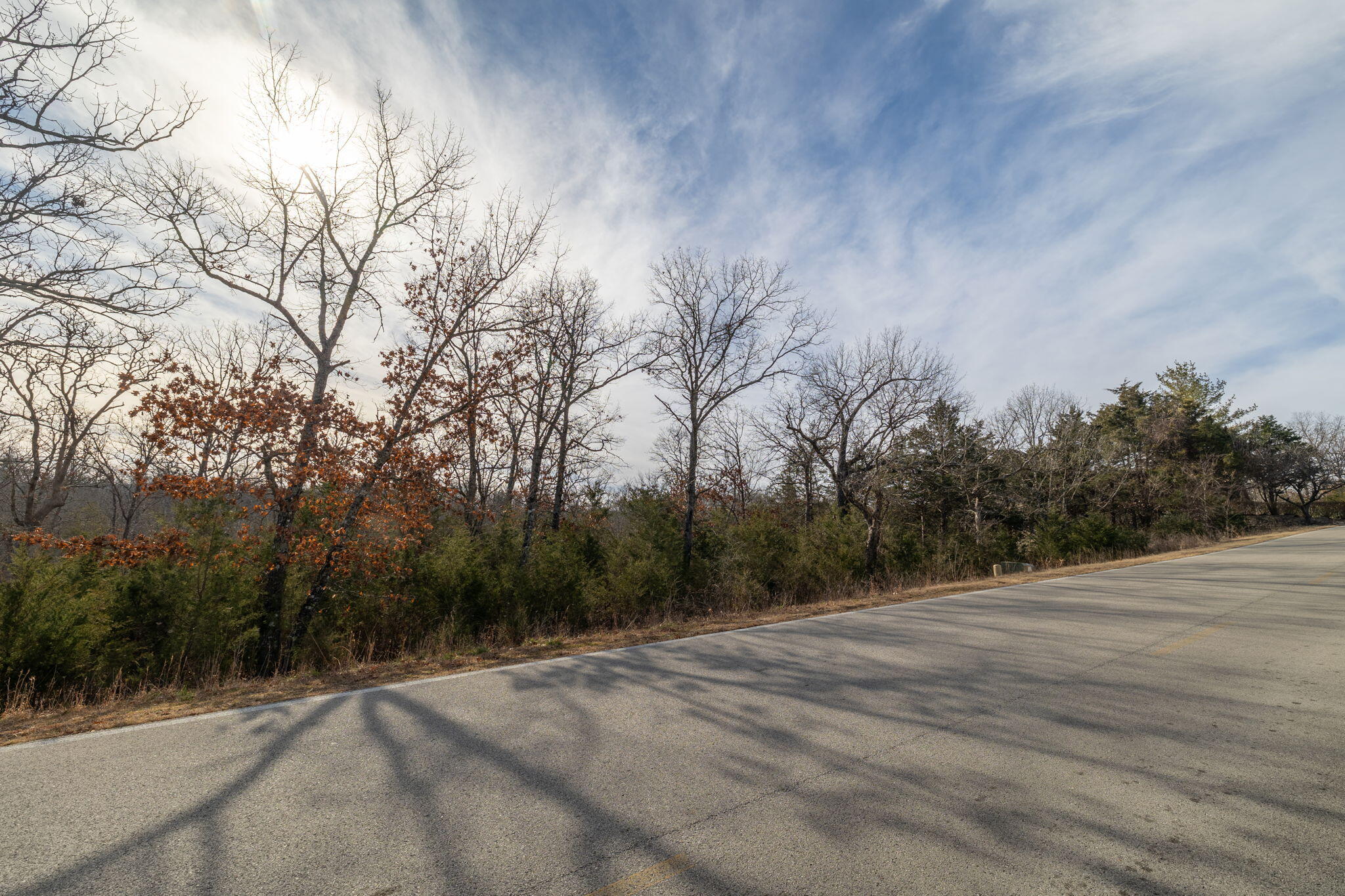 4 Fox Hollow Road Reeds Spring, MO 65737 - Photo 5 of 26 3-web-or-mls-A-3