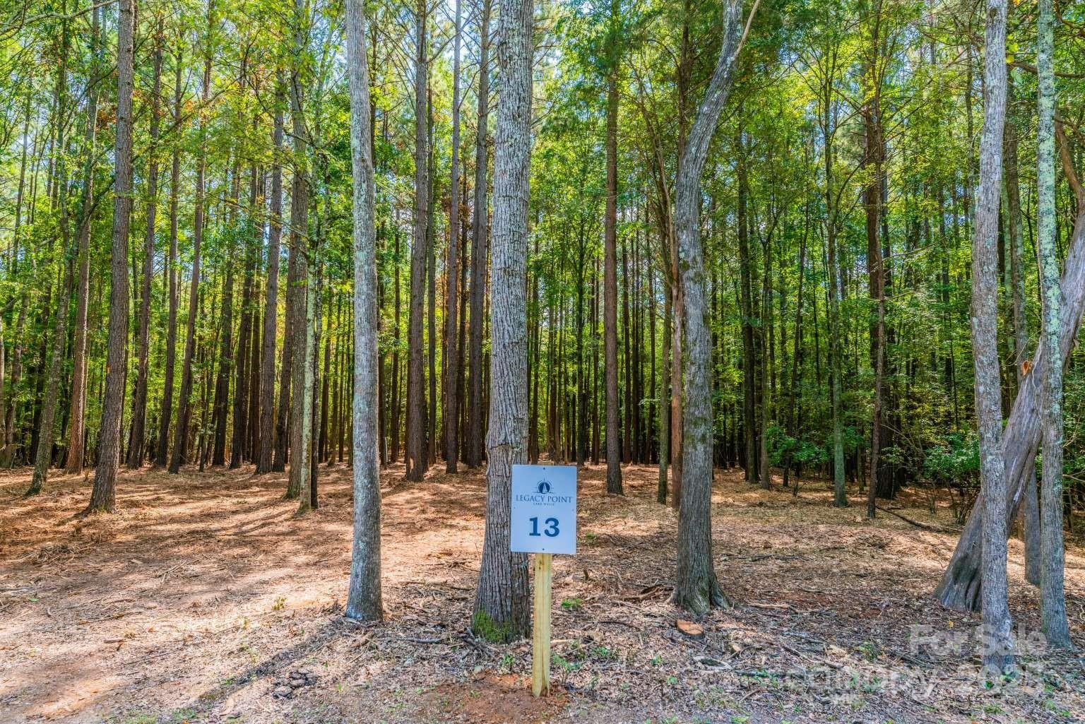 0 Sandlapper Drive, Unit LOT 13 York, SC 29745 - Photo 2 of 6 a outdoor space with lots of trees