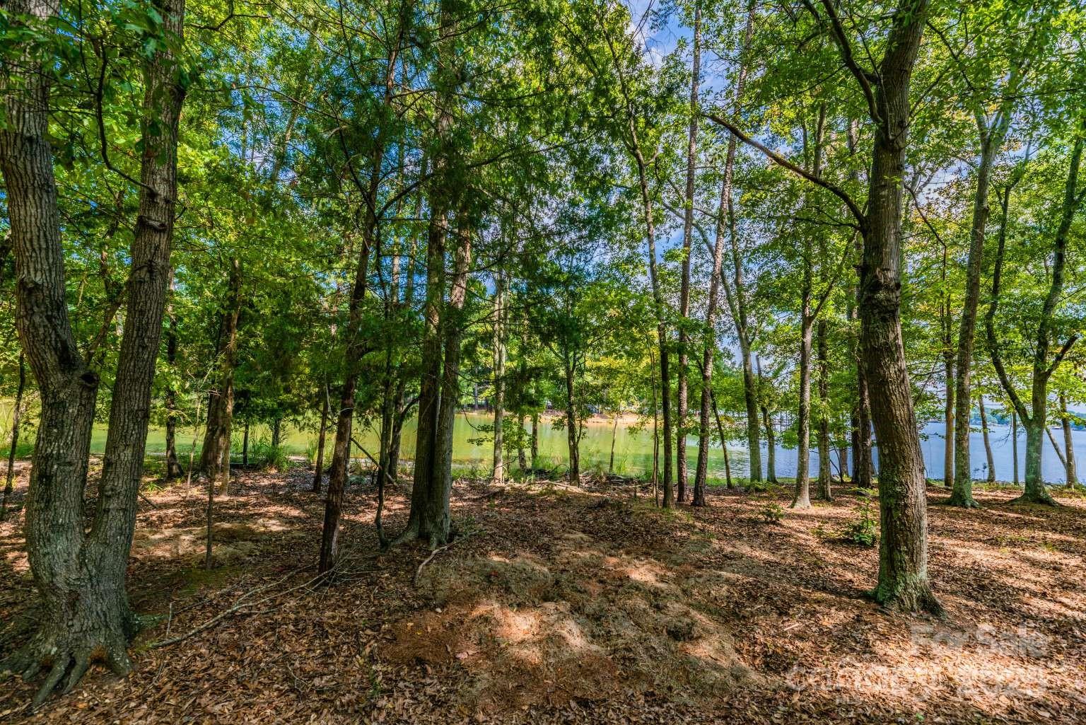 0 Sandlapper Drive, Unit LOT 13 York, SC 29745 - Photo 6 of 6 a view of outdoor space and yard