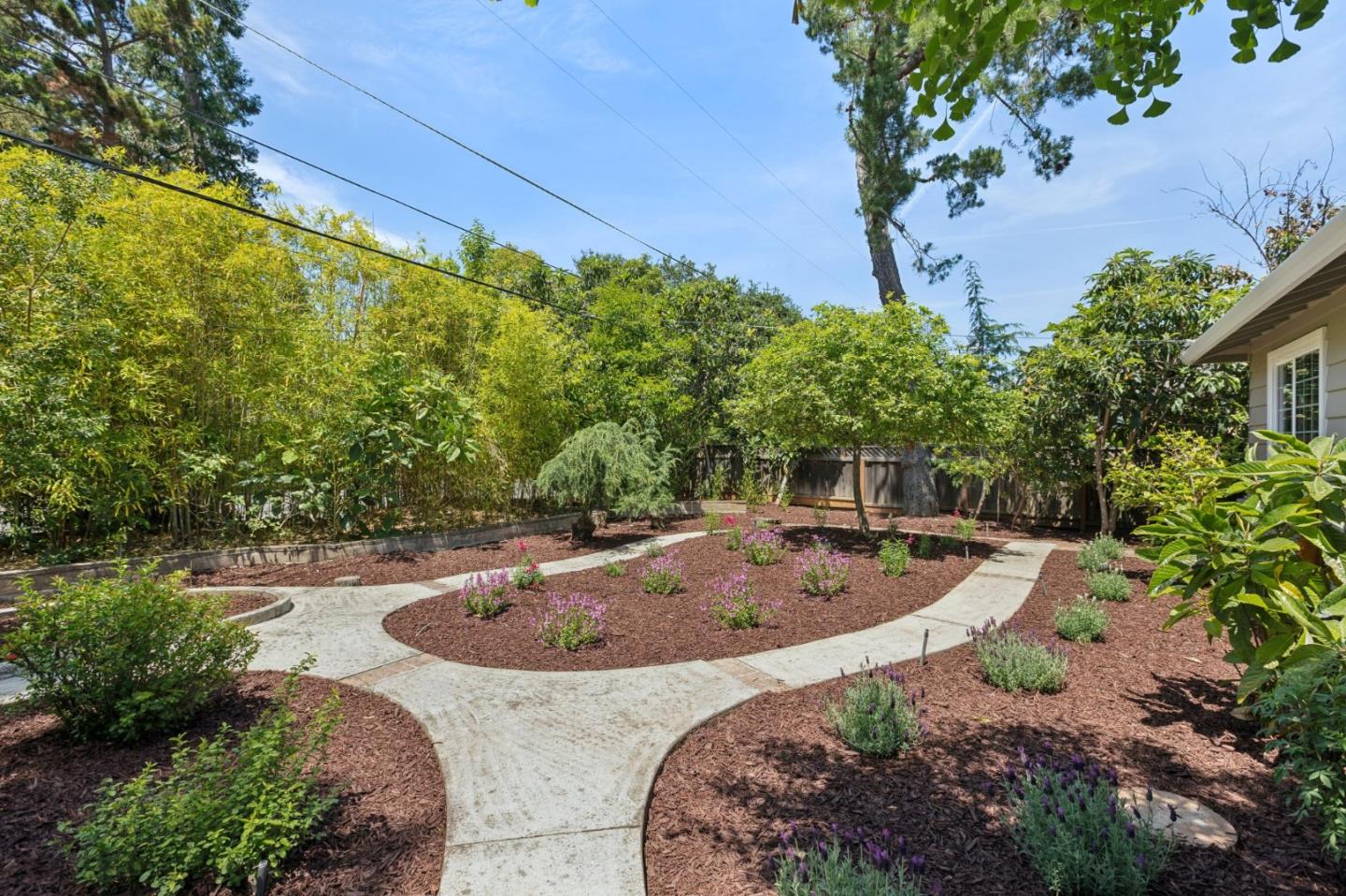 755 Santa Rita Avenue Los Altos, CA 94022 - Photo 6 of 50 a view of a backyard with swimming pool
