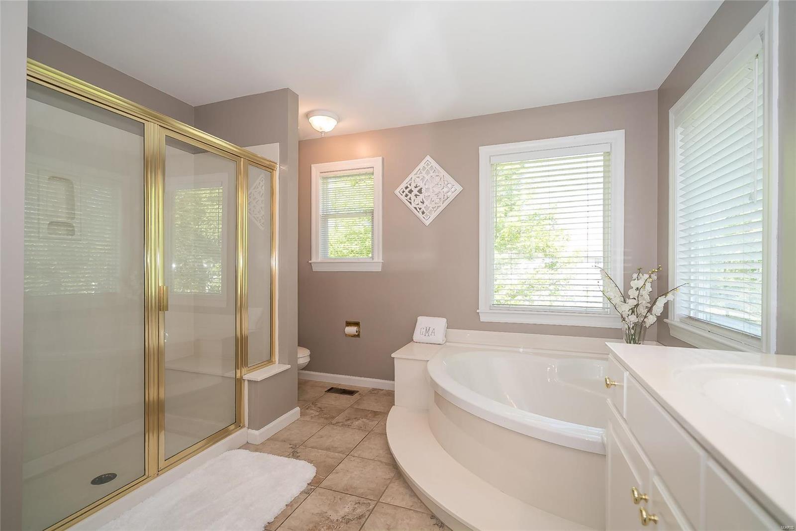 17212 Bluffview Ridge Place Chesterfield, MO 63005 - Photo 39 of 60