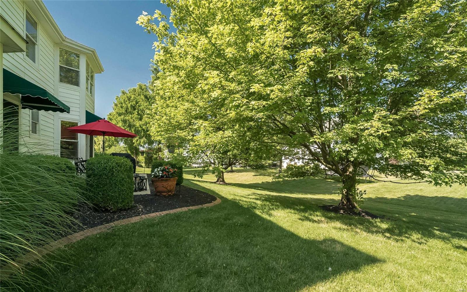 17212 Bluffview Ridge Place Chesterfield, MO 63005 - Photo 52 of 60