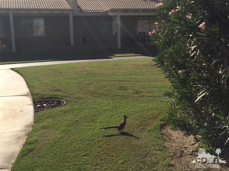79385 Horizon Palms Circle La Quinta, CA 92253 - Photo 8 of 13 a view of a water fountain