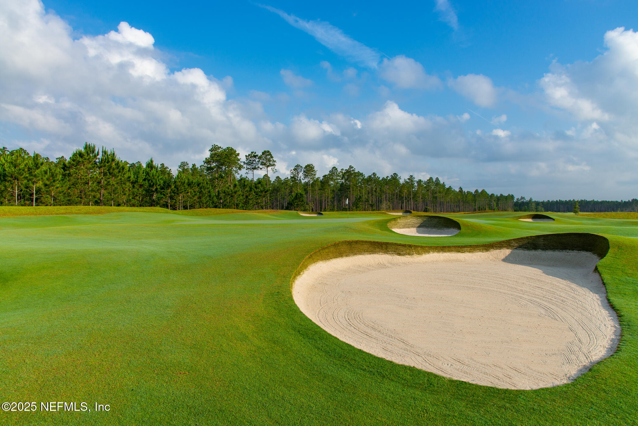 88 Round Robin Run St. Johns, FL 32259 - Photo 16 of 33 a view of outdoor space
