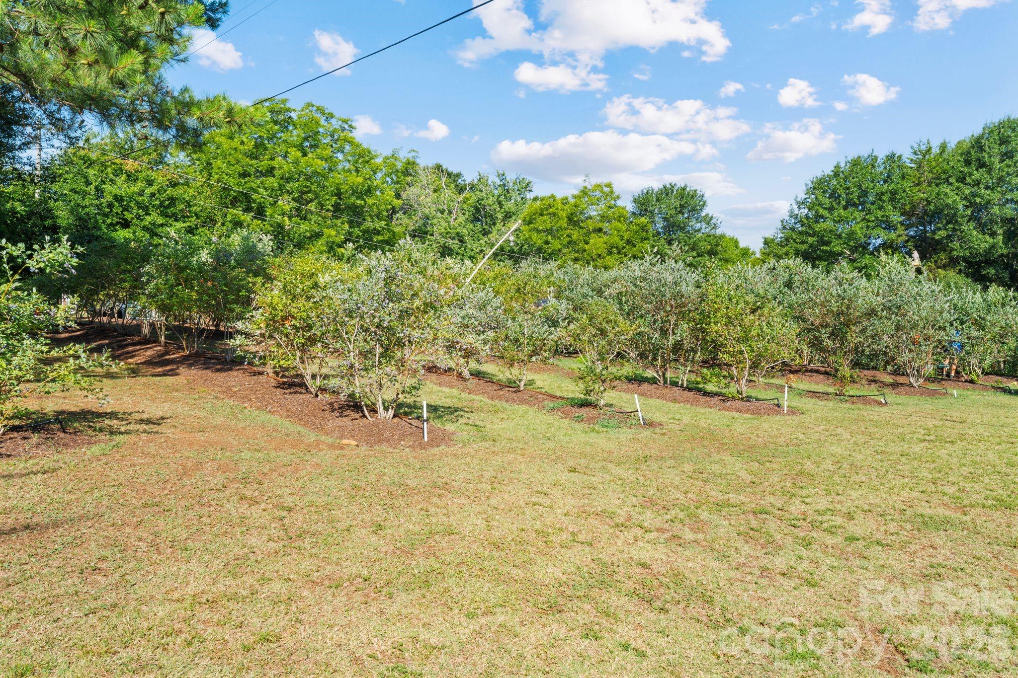 1483 Hopewell Church Road Catawba, NC 28609 - Photo 11 of 47