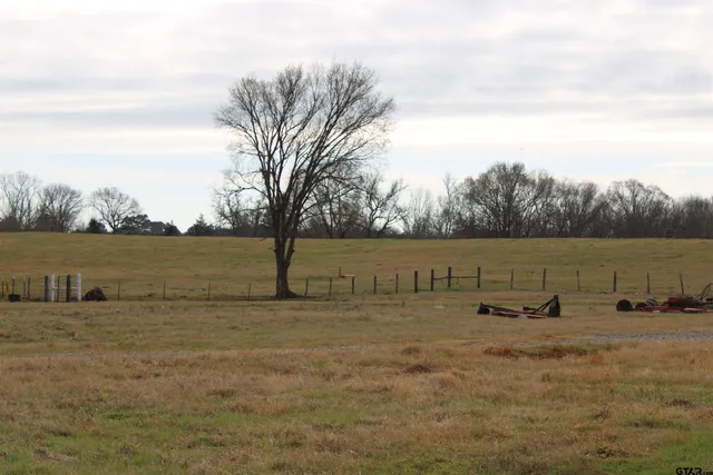 a view of a backyard with wooden fence
