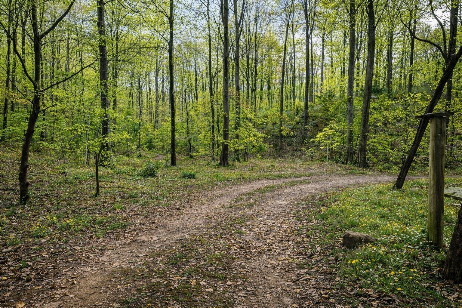1135 West Mink Branch Road Waynesboro, TN 38485 - Photo 69 of 83