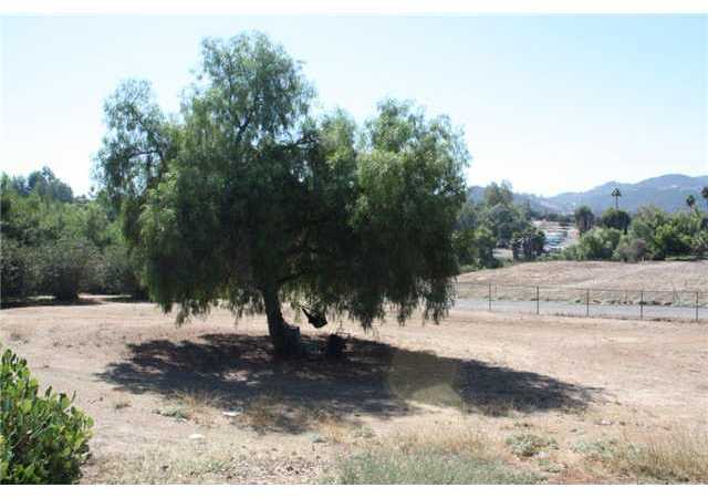 12740 Choctow Ridge Road Valley Center, CA 92082 - Photo 10 of 10 Tree Swing