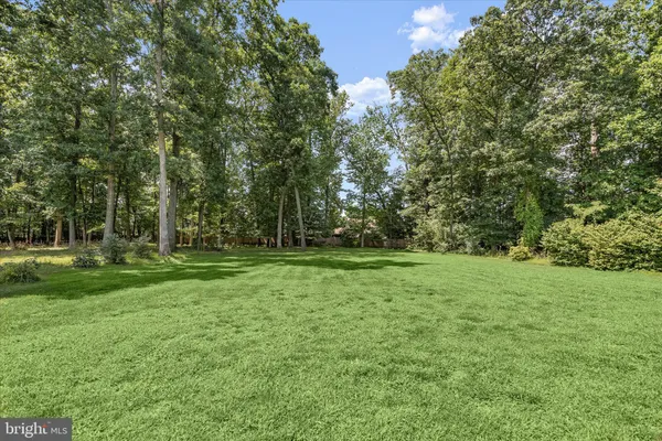 a view of a grassy field with trees