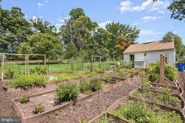 front view of a yard with potted plants and large trees