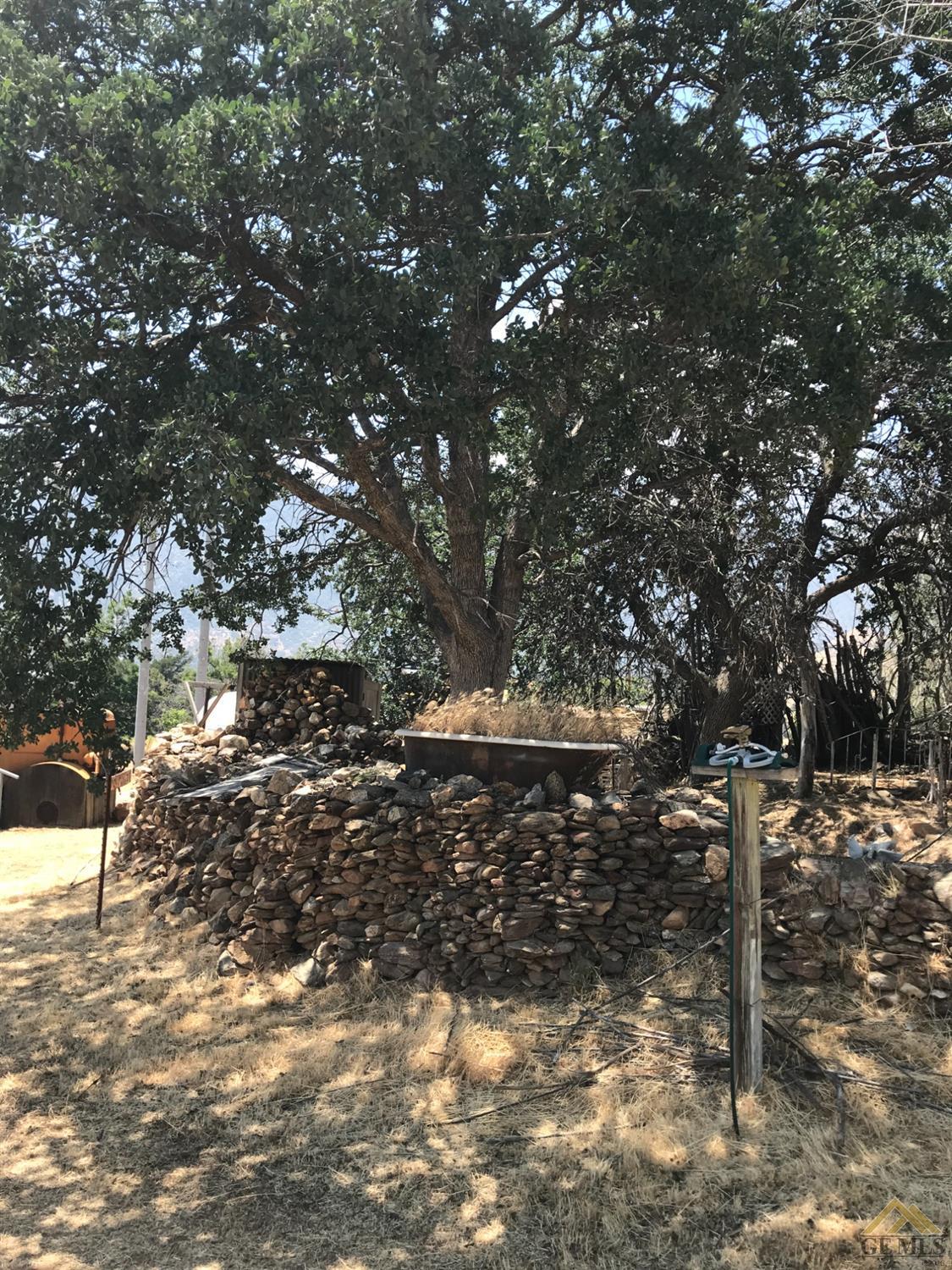 a view of outdoor space and yard
