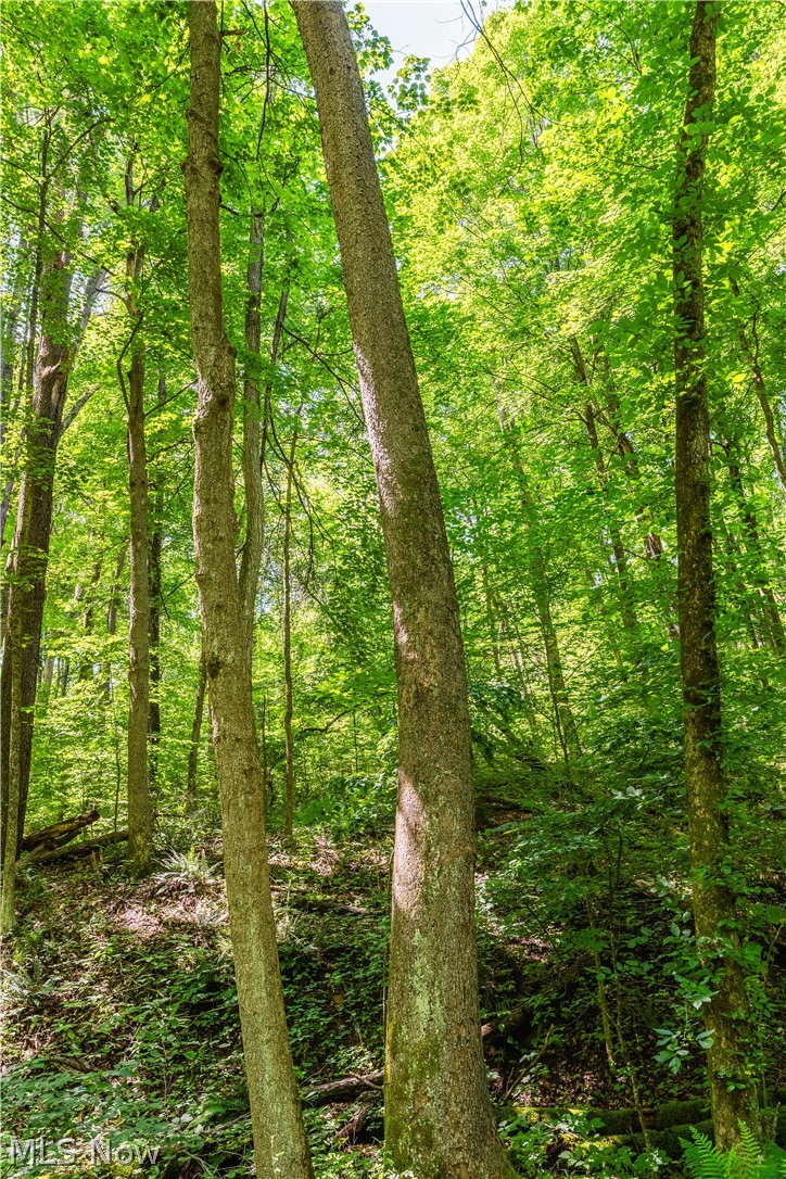 Norris Road Tippecanoe, OH 44699 - Photo 11 of 32