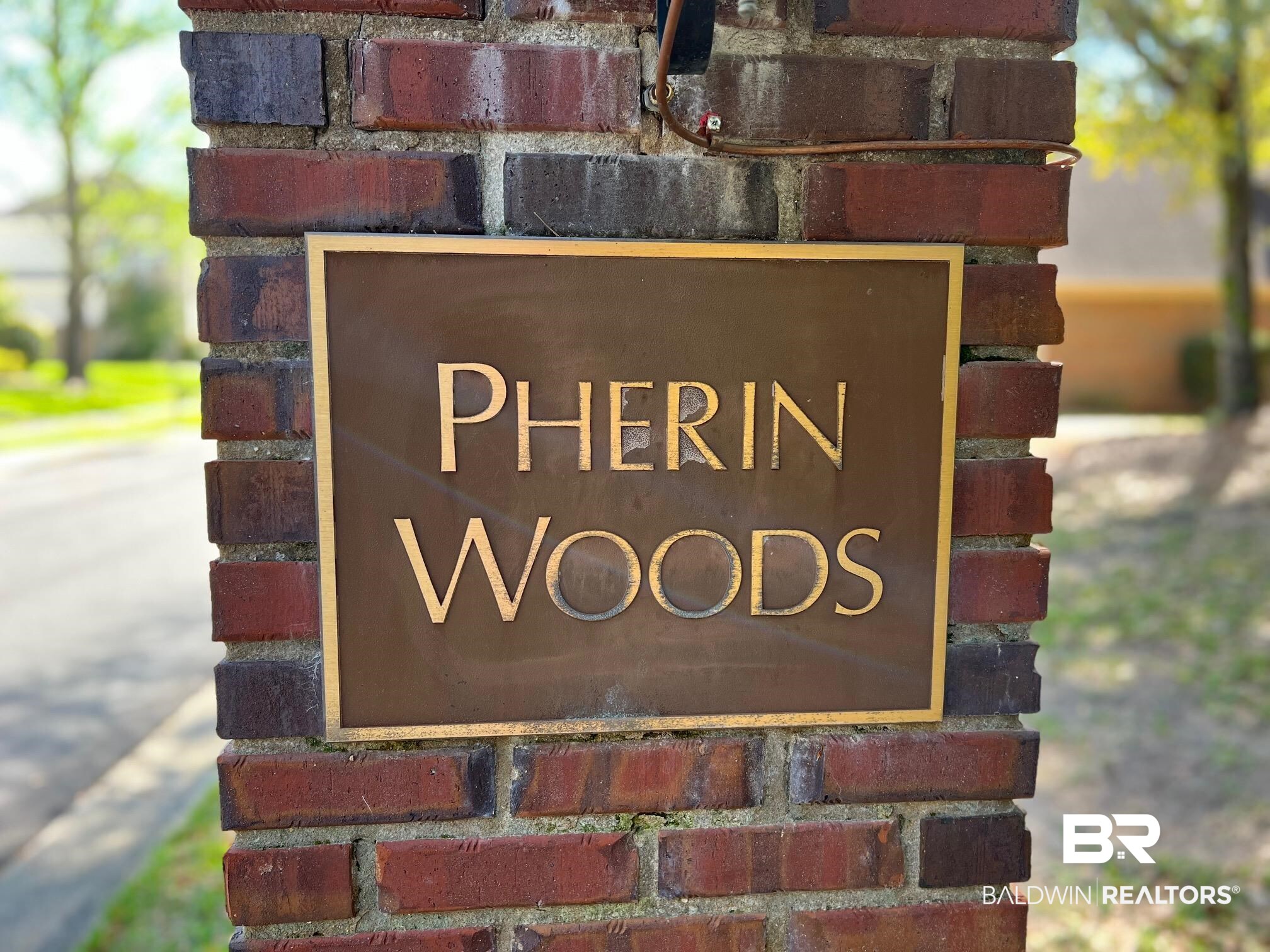 0 Pherin Woods Court Mobile, AL 36608 - Photo 1 of 11 View of details