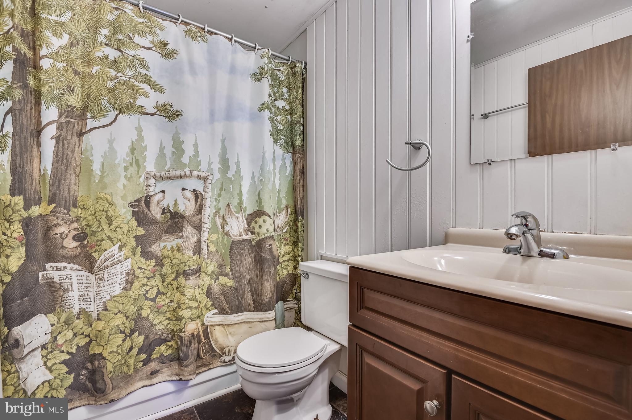 658 New Bridge Road Rising Sun, MD 21911 - Photo 22 of 35 a bathroom with a sink toilet and shower