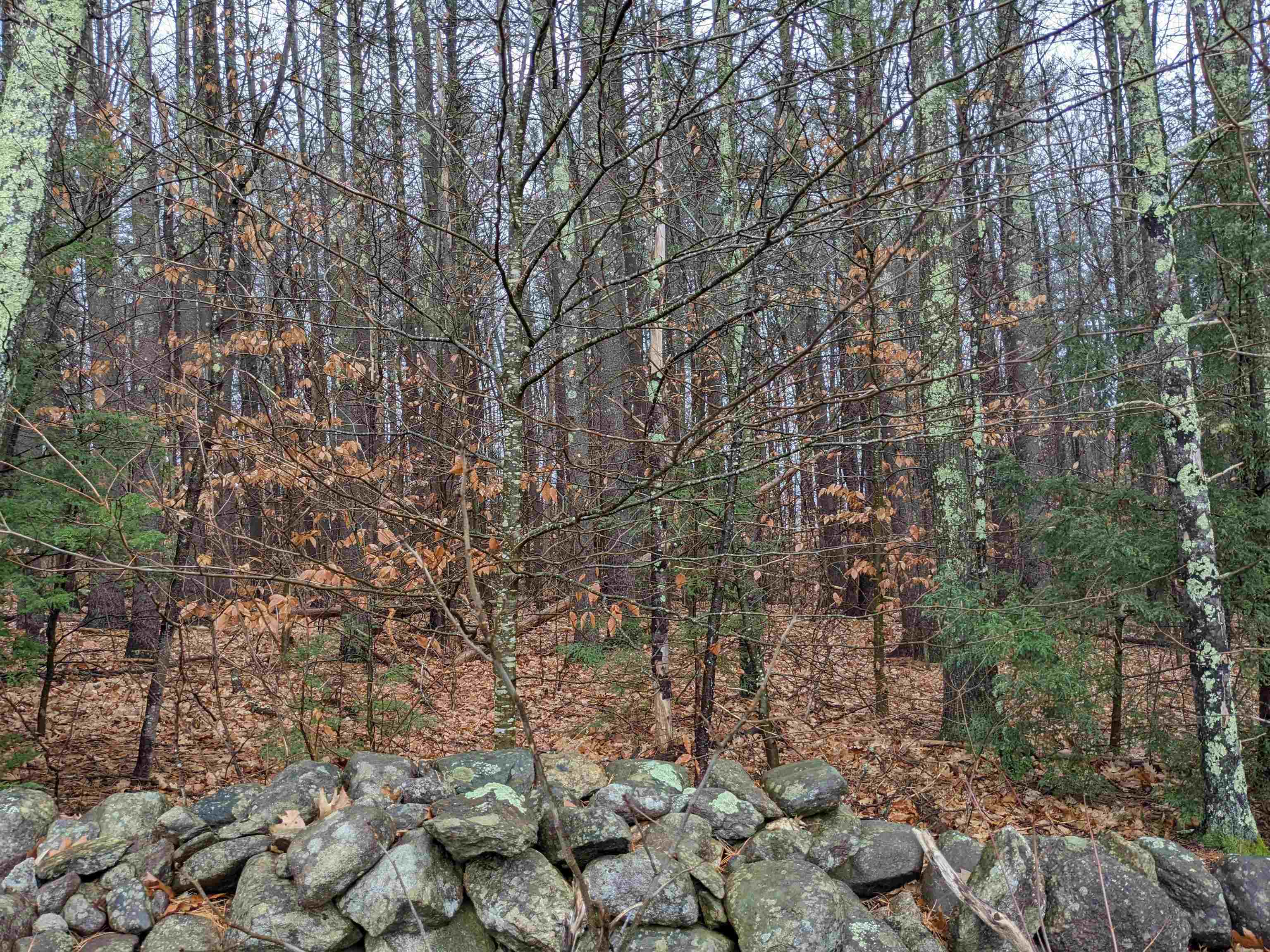 133-2 Wilson Road Wilton, NH 03086 - Photo 3 of 4