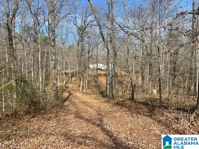 2055 Sprayberry Road Pell City, AL 35125 - Photo 3 of 11