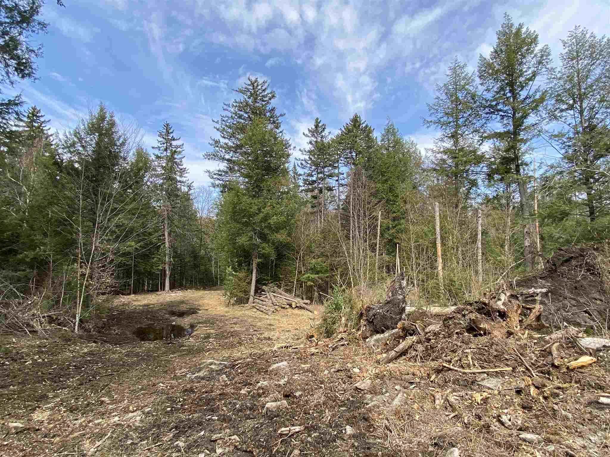 0 Cold River Road, Unit M248 L 131 South Acworth, NH 03607 - Photo 4 of 11