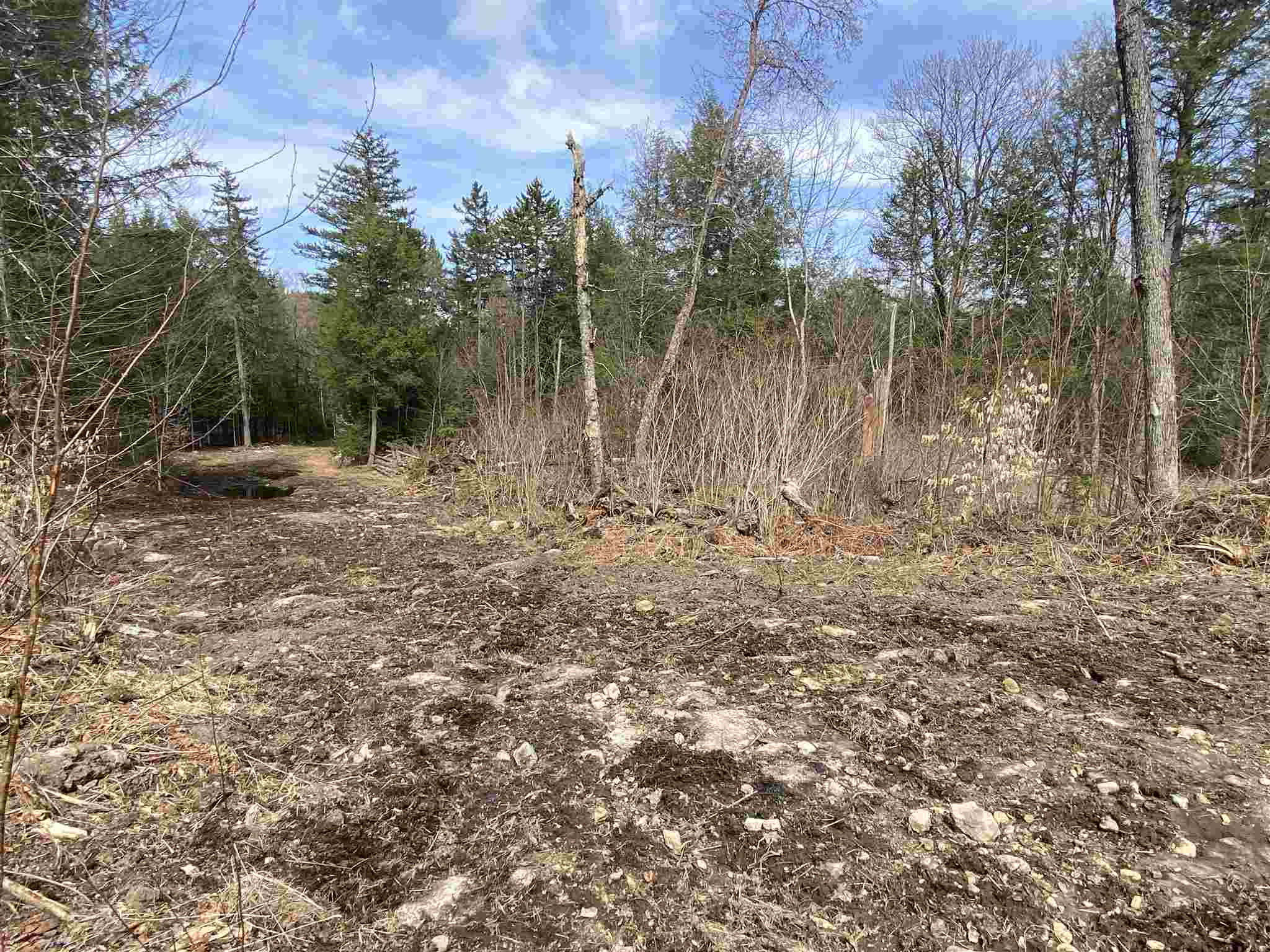 0 Cold River Road, Unit M248 L 131 South Acworth, NH 03607 - Photo 6 of 11