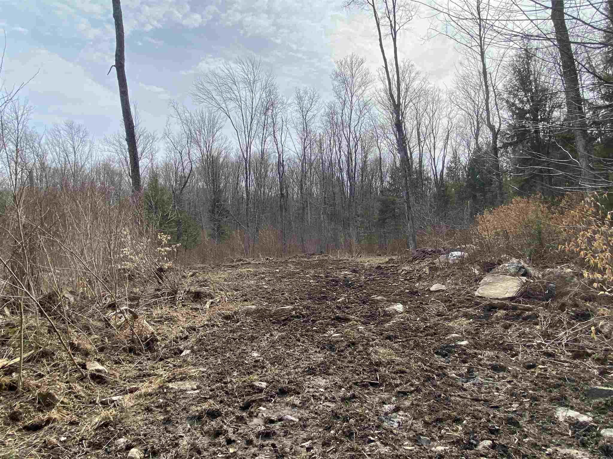 0 Cold River Road, Unit M248 L 131 South Acworth, NH 03607 - Photo 8 of 11
