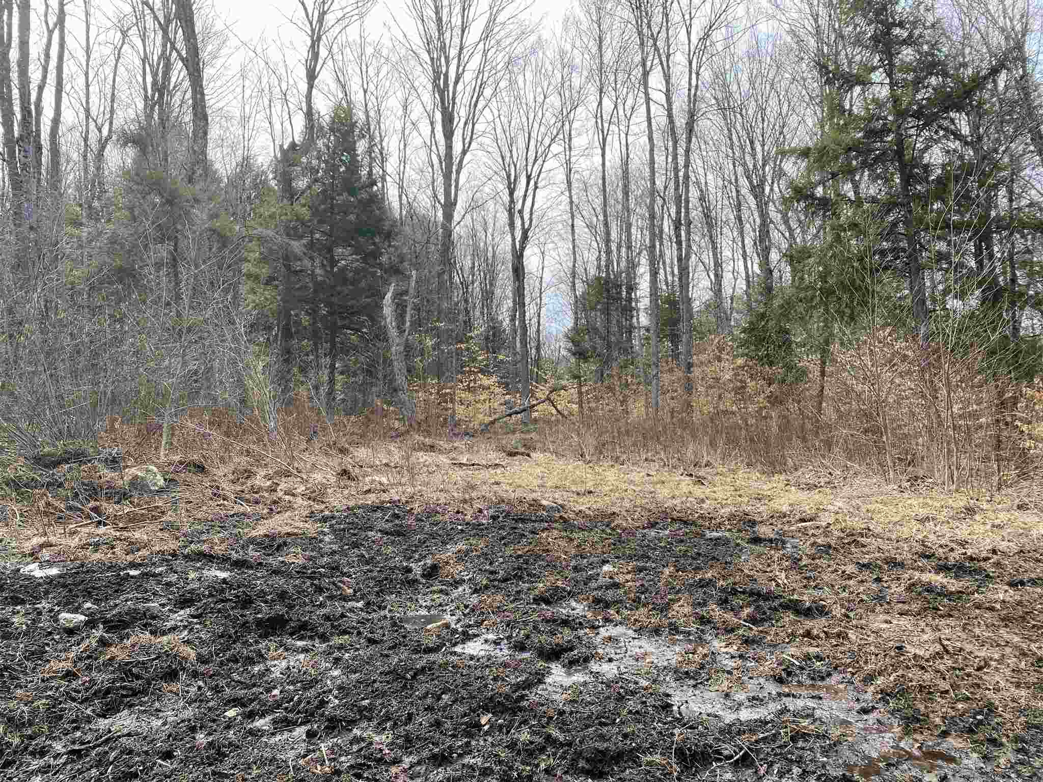 0 Cold River Road, Unit M248 L 131 South Acworth, NH 03607 - Photo 10 of 11