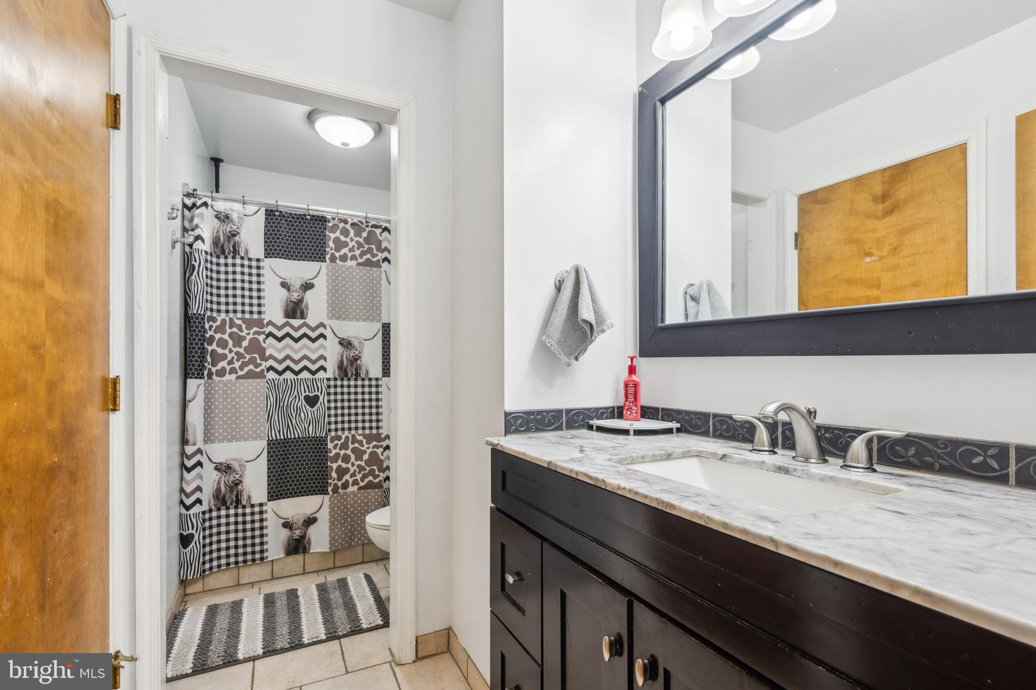20 Holly Trail Alloway, NJ 08302 - Photo 17 of 26 a bathroom with a sink and a mirror