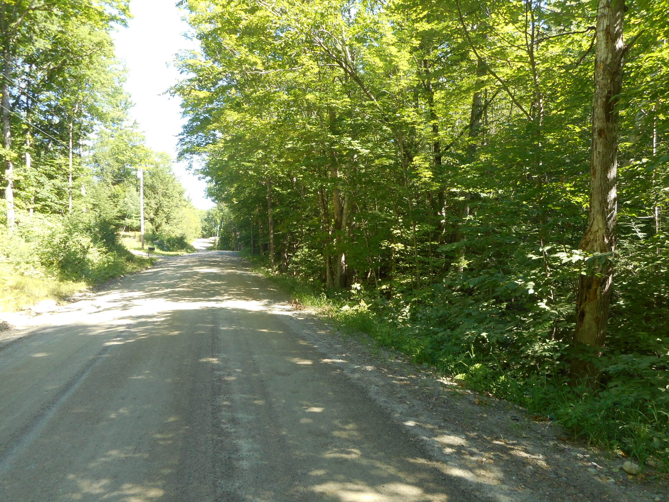 Lot 10 North Road Lee, ME 04455 - Photo 1 of 9 DSCN3154