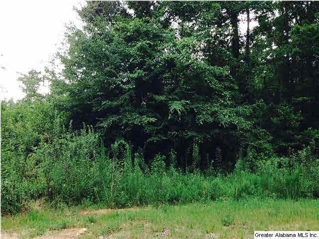 2615 6 Foot Road Ohatchee, AL 36271 - Photo 16 of 22