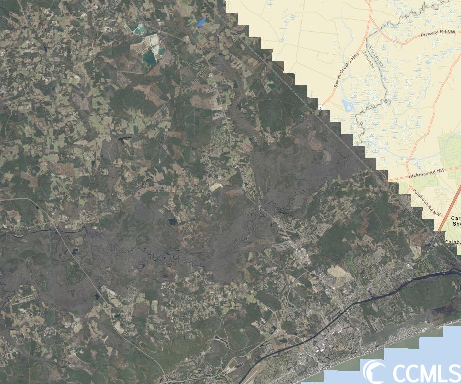 3 Fries Bay Road Loris, SC 29569 - Photo 4 of 9