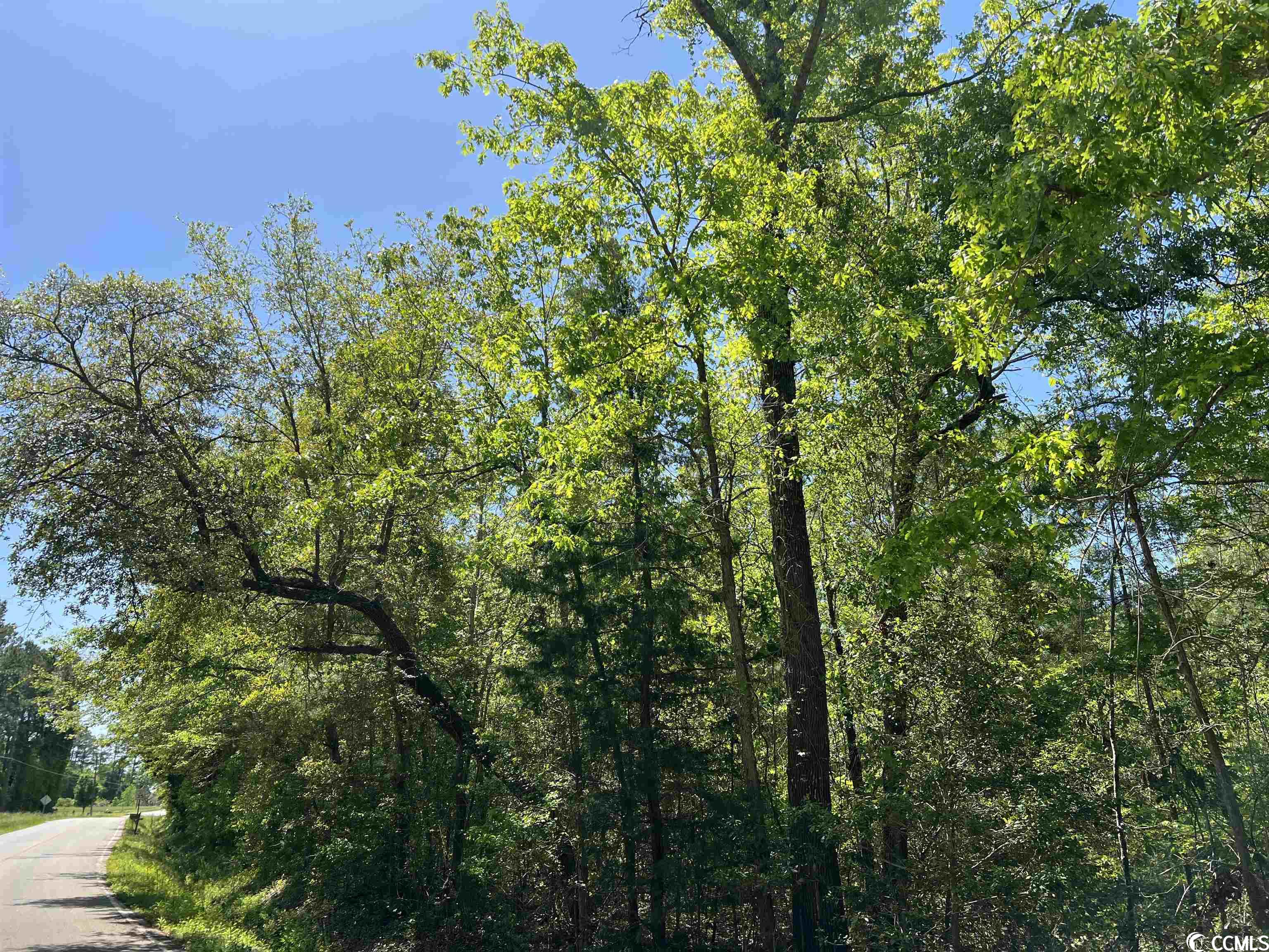 3 Fries Bay Road Loris, SC 29569 - Photo 8 of 9