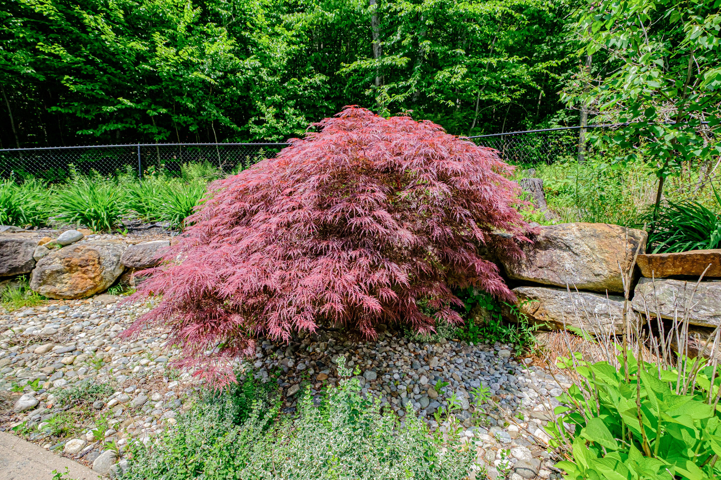 309 A Cushman Road Bryant Pond, ME 04219 - Photo 18 of 64 20250616gp-64016