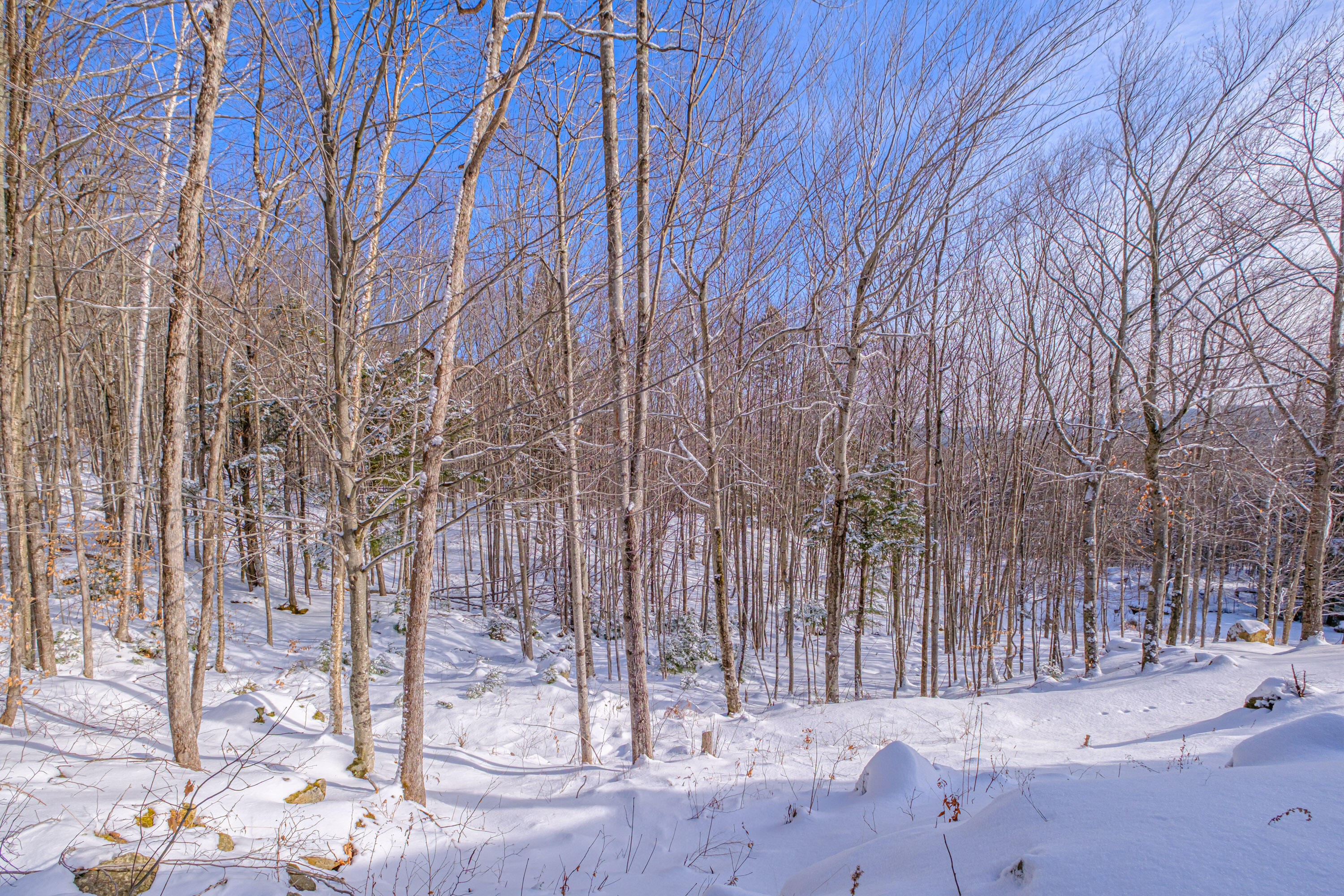 309 A Cushman Road Bryant Pond, ME 04219 - Photo 64 of 64 20260106gp-61020