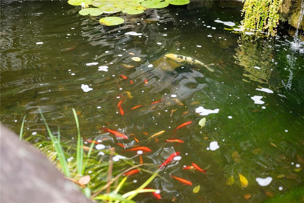 2779 Clearview Road Allison Park, PA 15101 - Photo 49 of 50