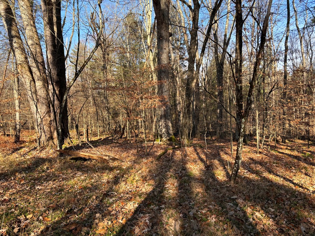 380 Pineville Road Grand Valley, PA 16420 - Photo 14 of 16
