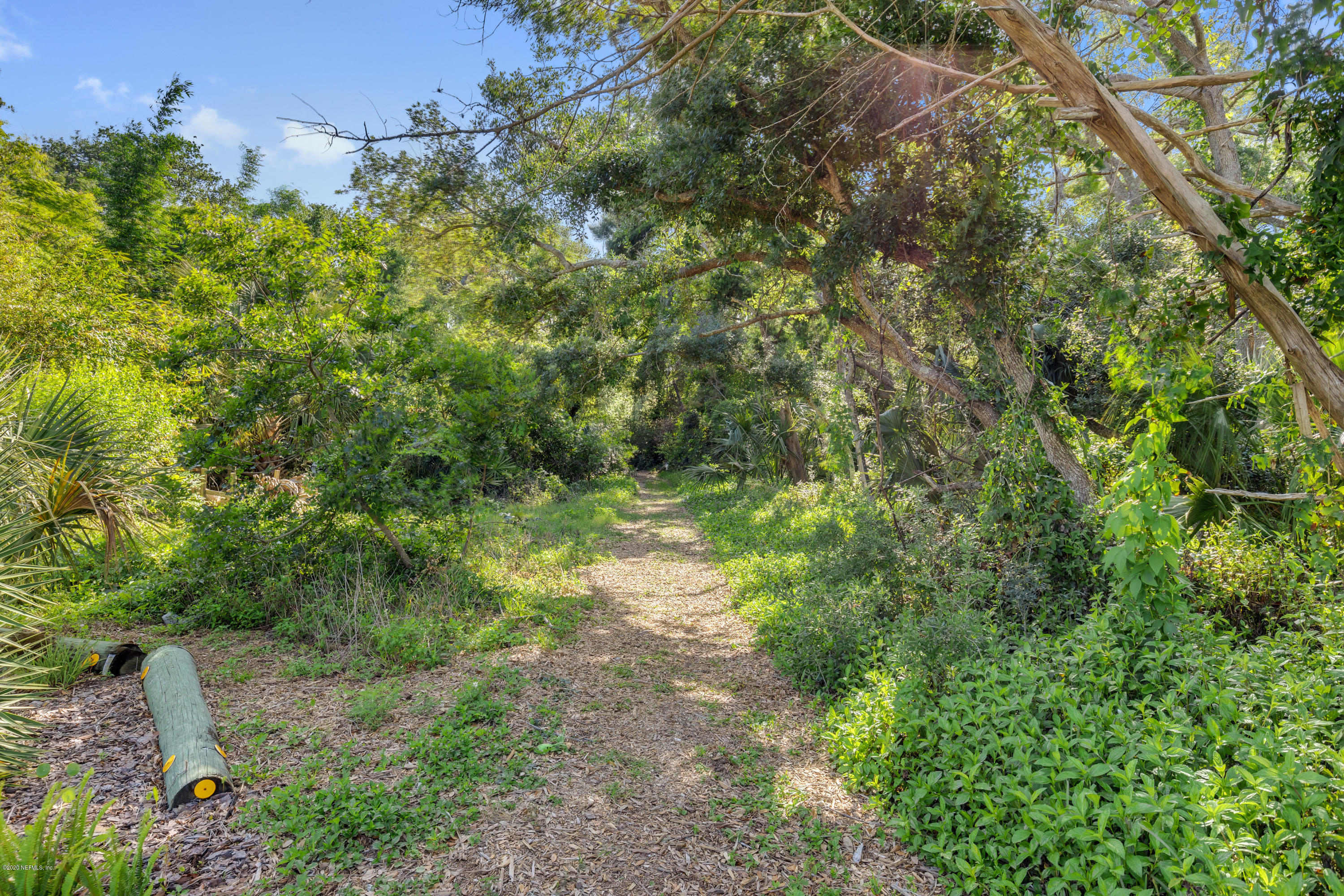 405 2nd Street St. Augustine, FL 32084 - Photo 26 of 32 a view of a lush green forest