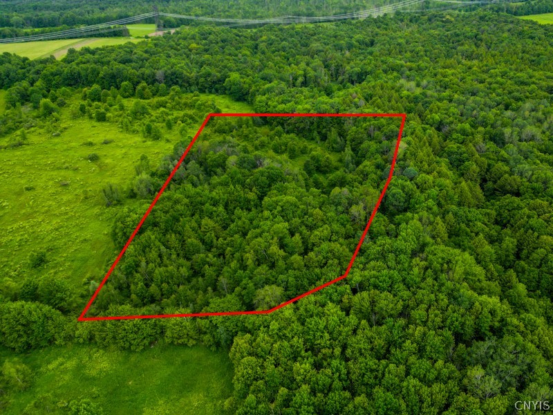 8031 Benson Road Floyd, NY 13354 - Photo 3 of 33