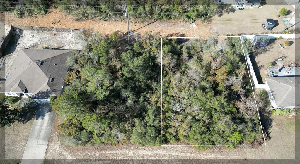 0 Southwest 29th Av Road Ocala, FL 34473 - Photo 1 of 1 a backyard of a house with lots of green space