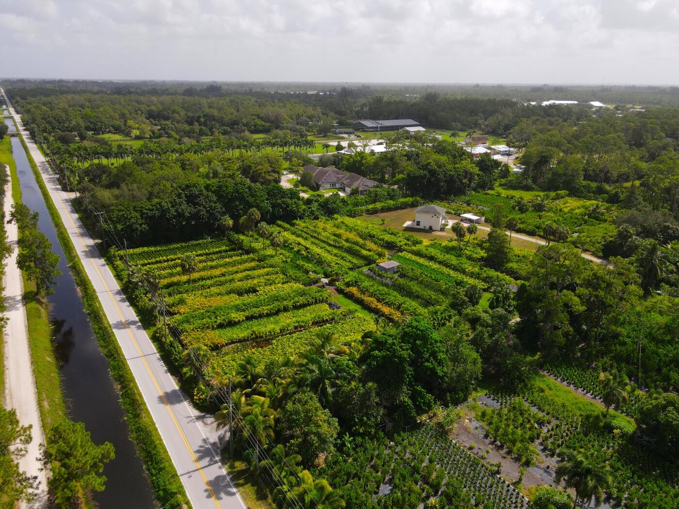 1550 C Road Loxahatchee Groves, FL 33470 - Photo 22 of 23 1550 C Rd areal of C Rd