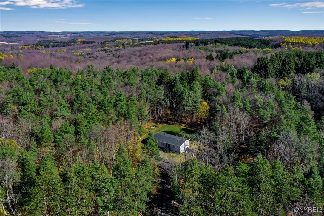 7784 Irish Hill Road Ellicottville, NY 14171 - Photo 2 of 37